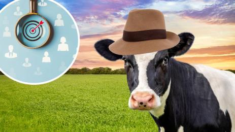 крава шпионин