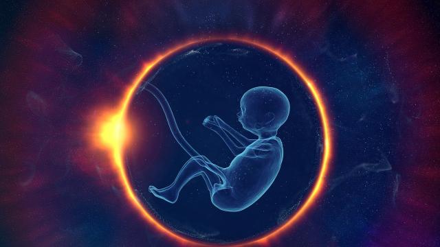 Нова технология ще позволи създаването на ембриони с гени от двама мъже