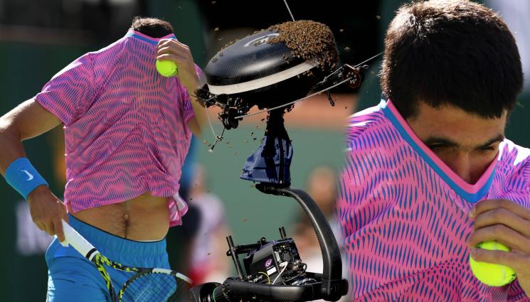 Алкарас пчели - АС ЗА ПЧЕЛИТЕ: Вижте как бесен рояк прогони от корта тенис звезди в Индиън Уелс (ВИДЕО)