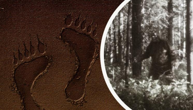 невидими космати - КОСМАТИ И НЕВИДИМИ: Получовеци-полумаймуни, идват от Хималаите и Сибир