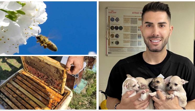 Евгени Евтимов - Грижи за пчелите през март