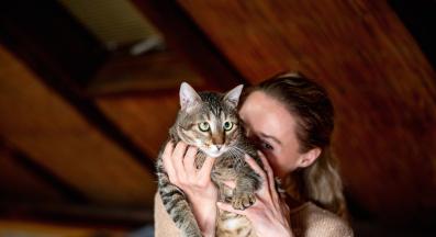 котка и собственици