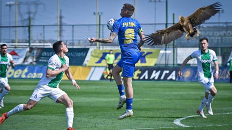 Крумовград