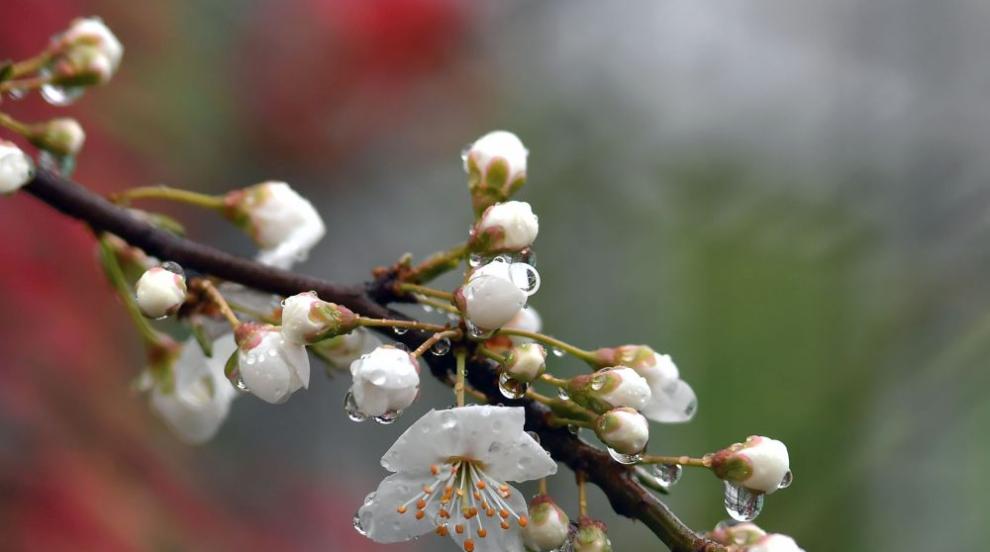 С какво време изпращаме март и посрещаме април