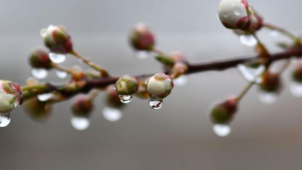 Облаци и дъжд в началото на пролетта