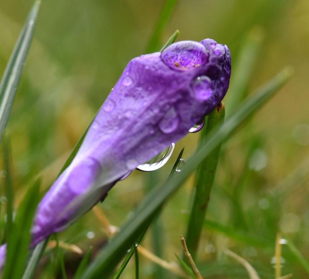 Днес облачността ще бъде променлива, често намаляваща до предимнослънчево време.
