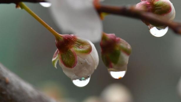 Облачно с валежи в четвъртък