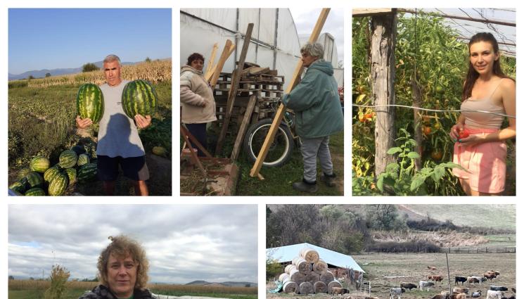 агро - Агро Телеграф: В полза на местни земеделци и животновъди - биоферми и градинари с предимство при търгове за държавна земя