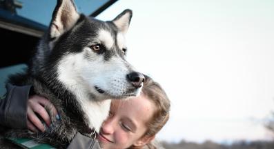 Сибирско хъски