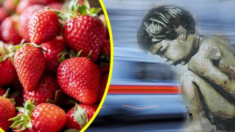 ягоди линейка