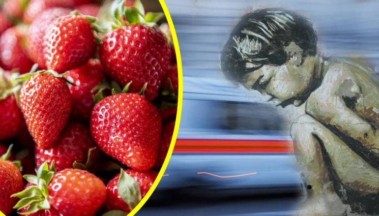 ягоди линейка - ТРАГЕДИЯ: 8-годишно момченце почина, след като яде ягоди