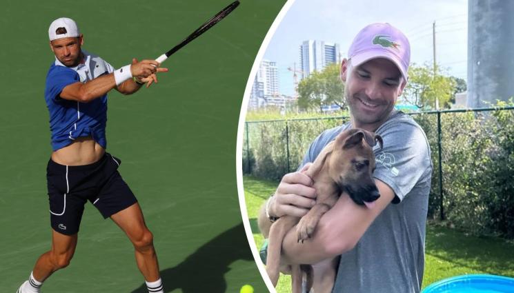 Григор Димитров - Гришо осинови кученце в Маями