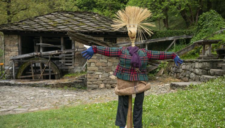 плашило - ЗЛАТНО ВРЕМЕ: Търси се „Плашило в пенсия“