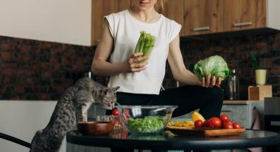 Могат ли котките да се хранят с аспержи?
