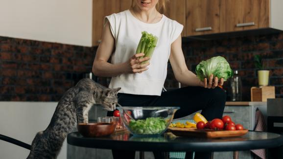 Могат ли котките да се хранят с аспержи?