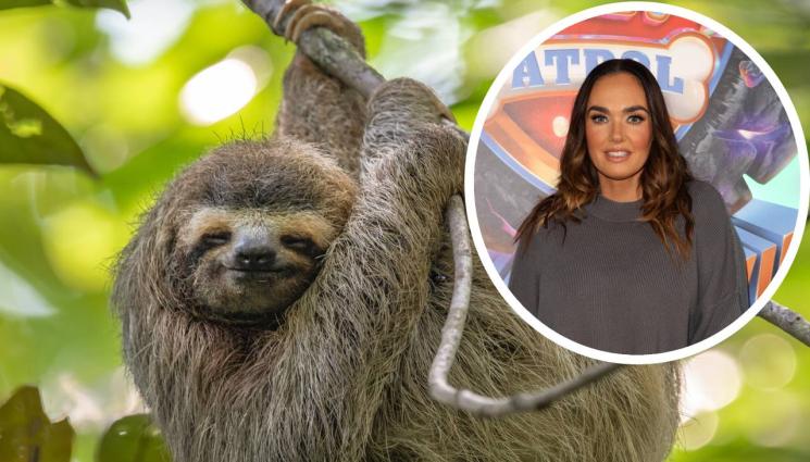 Тамара Екълстоун - Атакуват щерката на Бърни заради ленивец