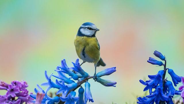 Посрещнахме астрономическата пролет 