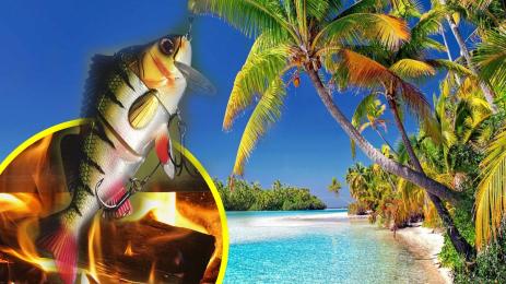 екзотика риба