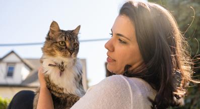 домашна котка