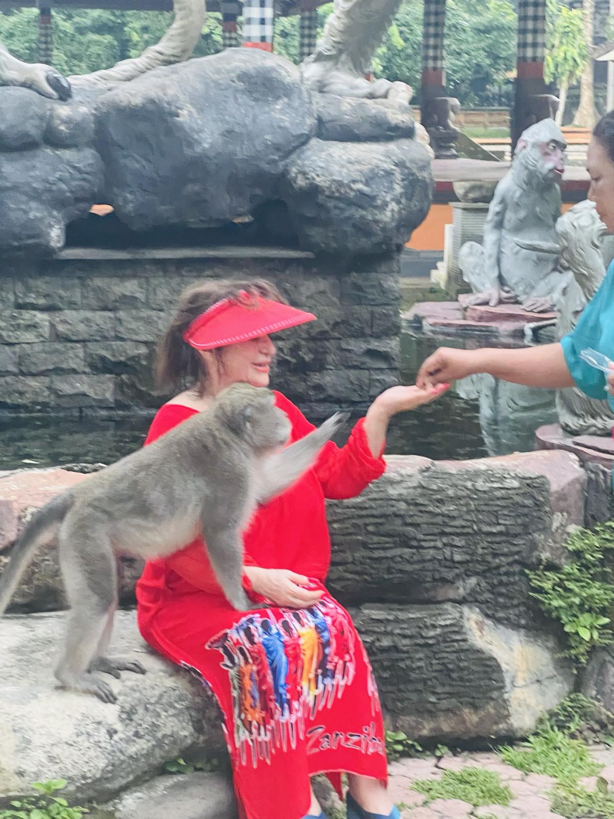  Храни маймунка в зоопарка. 