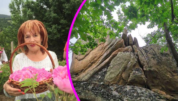 долината на розите - Броят 4 бона за селфи в Долината на розите!