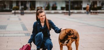 4 начина да избегнете ухапване от непознато куче