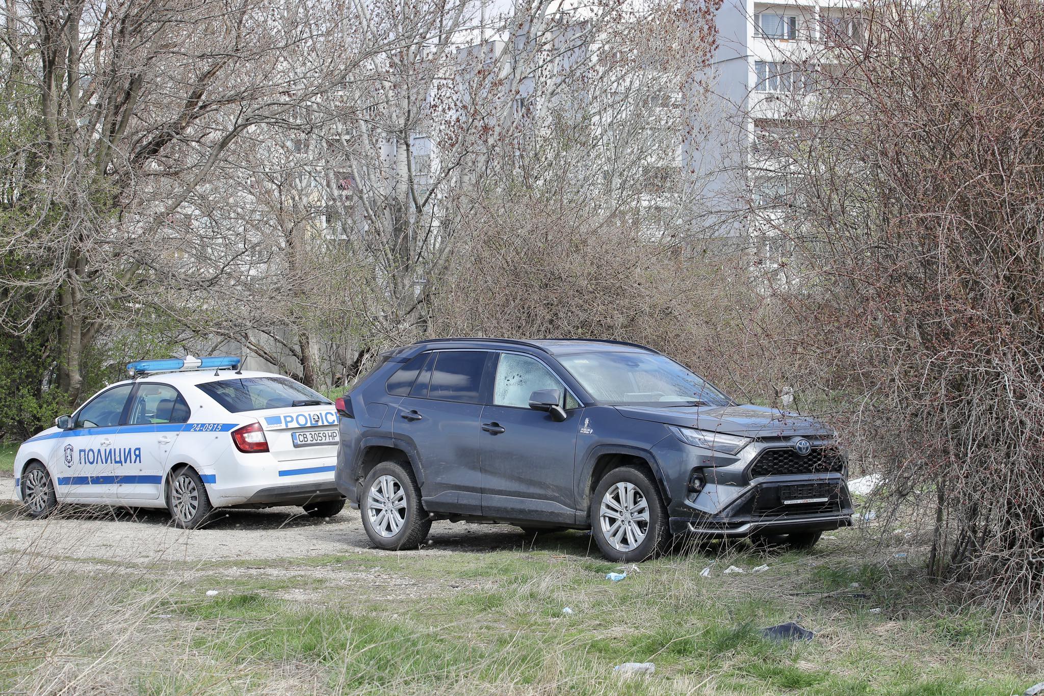 джипа на Лена Бориславова