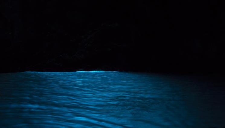 морско дъно - НЕВИЖДАНО ОТКРИТИЕ! Изплуваха останки на гигантско морско създание! (СНИМКИ)