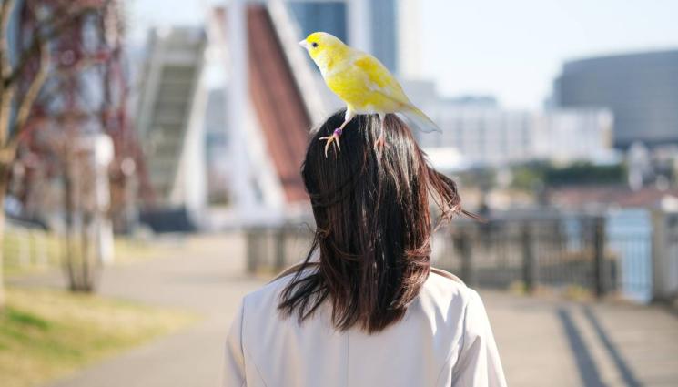 жена пиле - НОВА МОДА: Инфлуенсърка се окичи се с живо пиле, нападнаха я природозащитници (ВИДЕО)