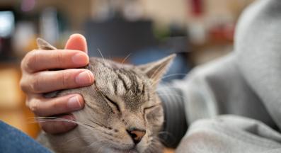 собственичка и котка