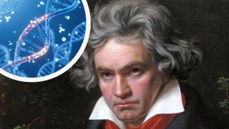 ДНК-то на Бетовен издаде шокираща подробност за таланта му!