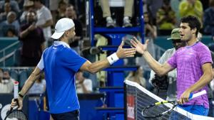 григор димитров алкарас