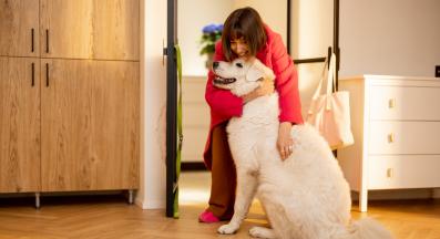 куче щастливо