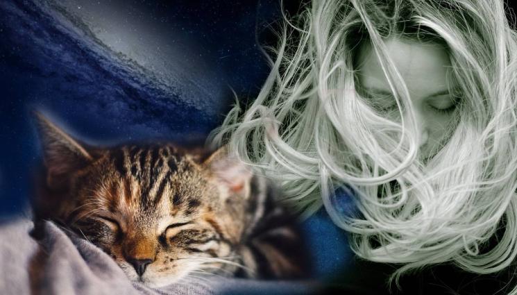 космос - ОТЛЕТЯХА СЛЕД СМЪРТТА СИ: Разпръснаха пепелта на покойна жена и котката ѝ в Космоса! (СНИМКИ+ВИДЕО)