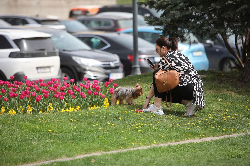 Пролет в София