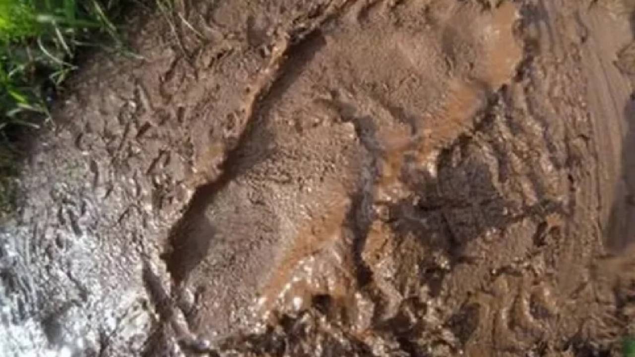 голямата стъпка