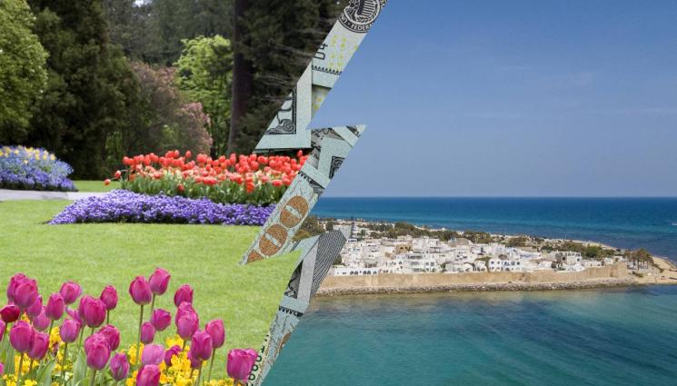 лале - Фестът на лалето по-скъп от почивка в Тунис - 3 дни в Истанбул за 800 лв. с отстъпките!