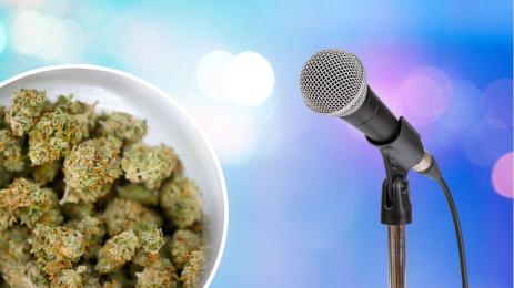 микрофон марихуана