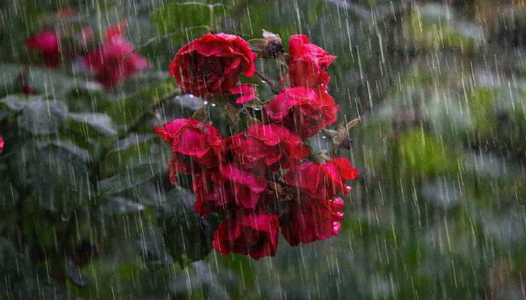 дъжд - МОКРОТО ИЗЛИЗА СОЛЕНО: Изкуственият дъжд ще струва 15 млн. годишно