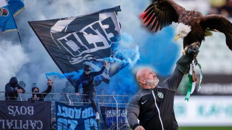 Левски Лудогорец орел