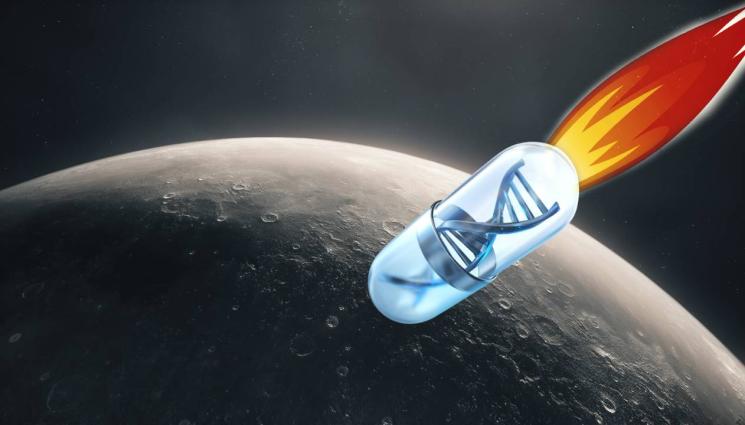 Луна геном - ЗА ПЪРВИ ПЪТ: НАСА изстрелва на Луната капсула с генома на човечеството (СНИМКА)