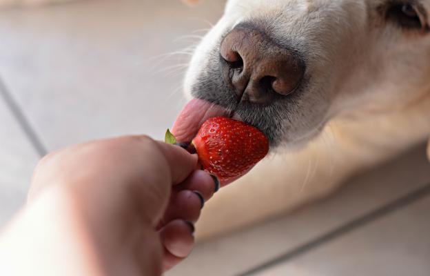 куче ягода