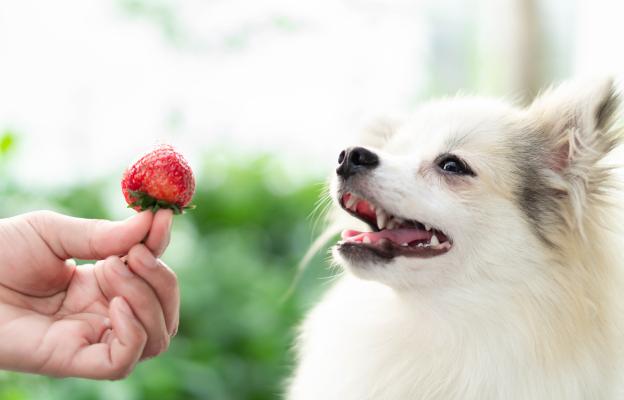 куче ягода