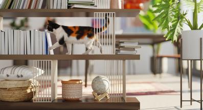 котка играе