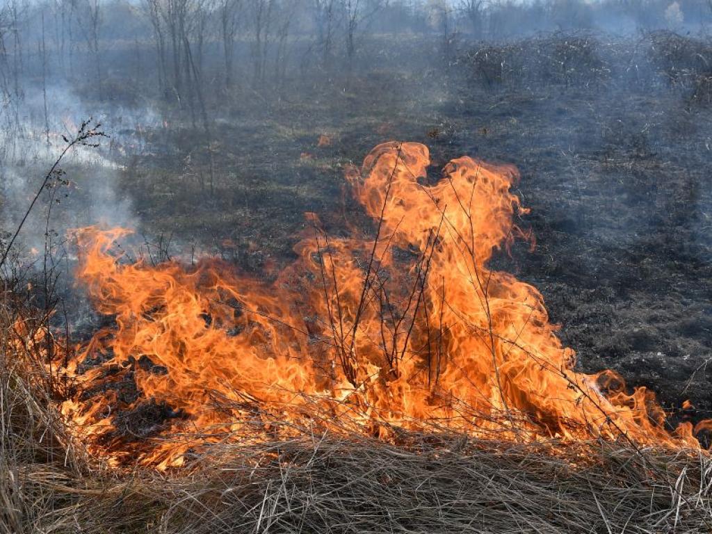 Пожар гори в района на военния полигон в старозагорското село