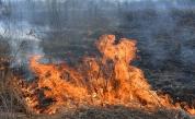 Няколко пожара бушуват в Карловско