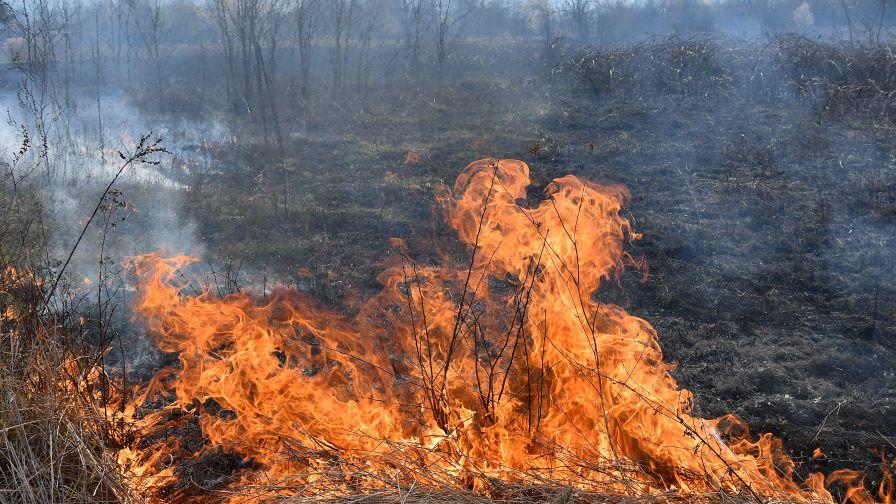 Пожар гори в района на военния полигон в Змейово