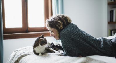 домашна котка