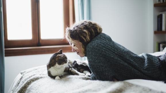 5 интелигентни избора, които да направите за здравето и щастието на котката