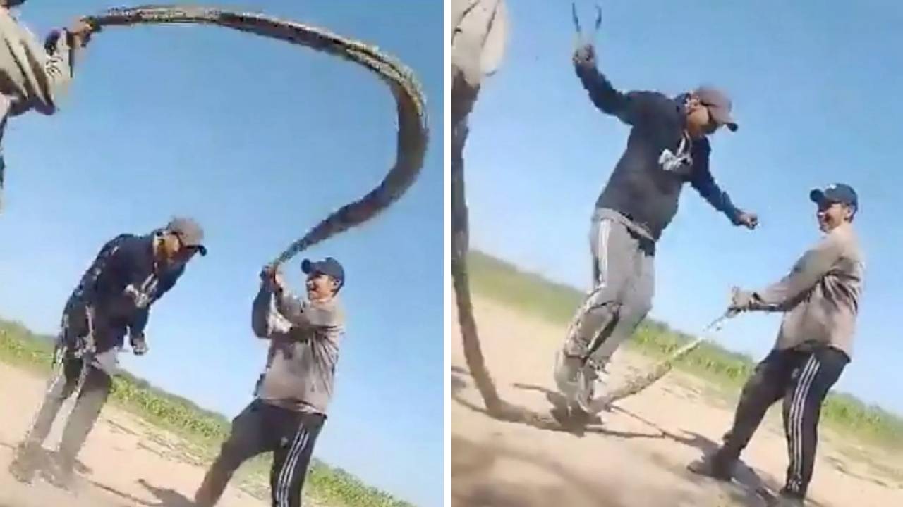 въже за скачане змия